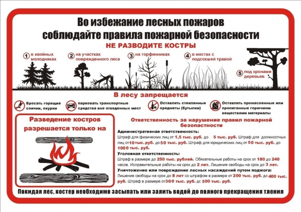 Во избежание лесных пожаров соблюдайте правила пожарной безопасности